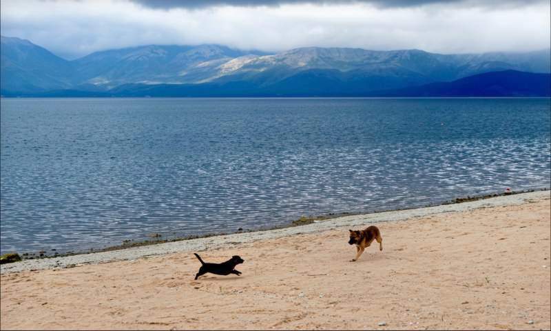 the lake